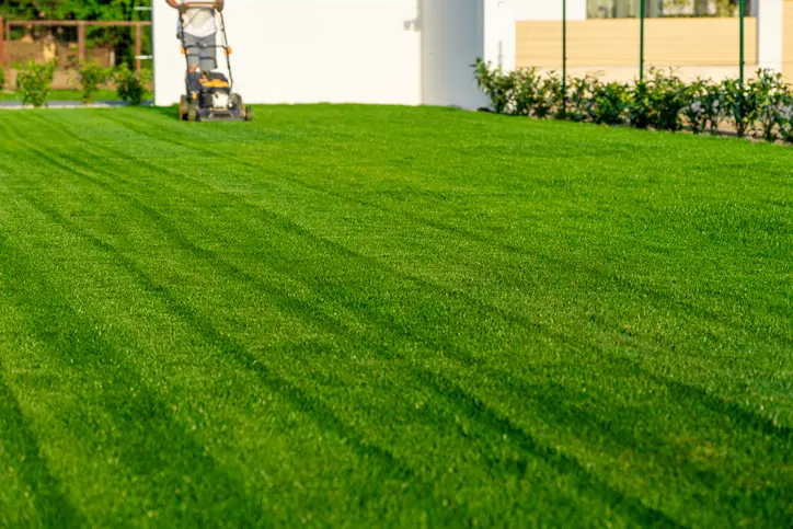 Affordable Lawn Mowing Service Palmer TX