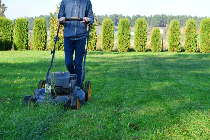 Reputable Lawn Mowing Service Palmer TX