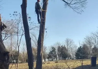 Landscaping Contractor
